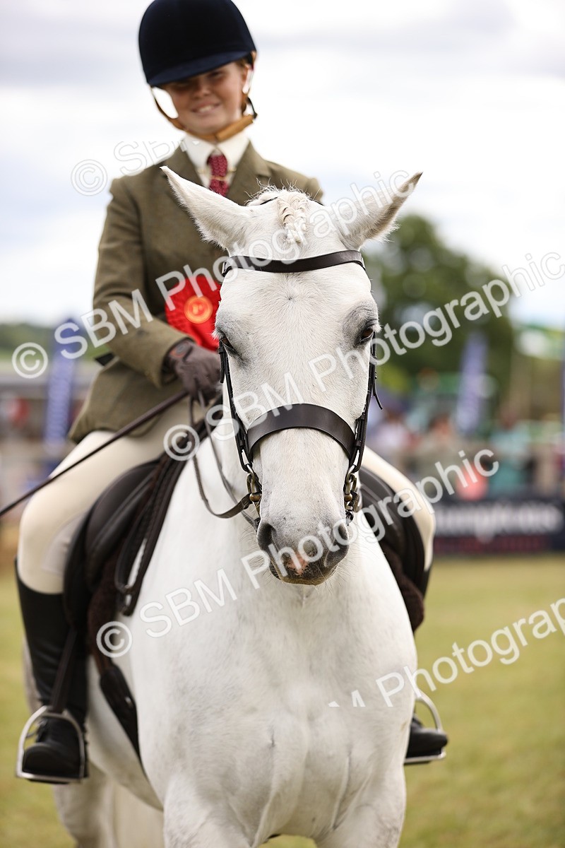 SBM_14630 - Class 88-89 - LIHS BSHA Rising Star of Ridden Hunter Type