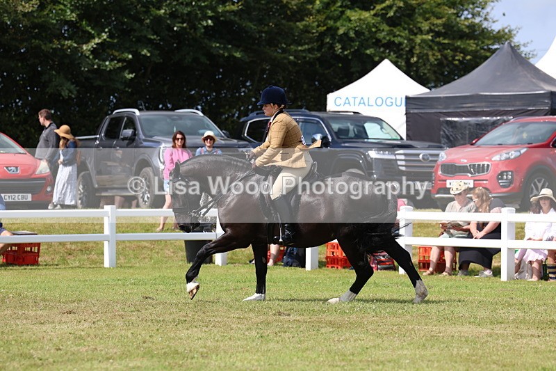 3E7A9823 - Class 5: Rising Star Lightweight/Heavyweight Cobs