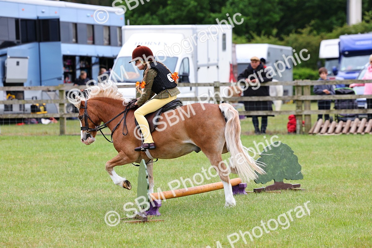 SBM_08741 - Class 42-43 - LIHS BSPS Heritage Working Sports Pony