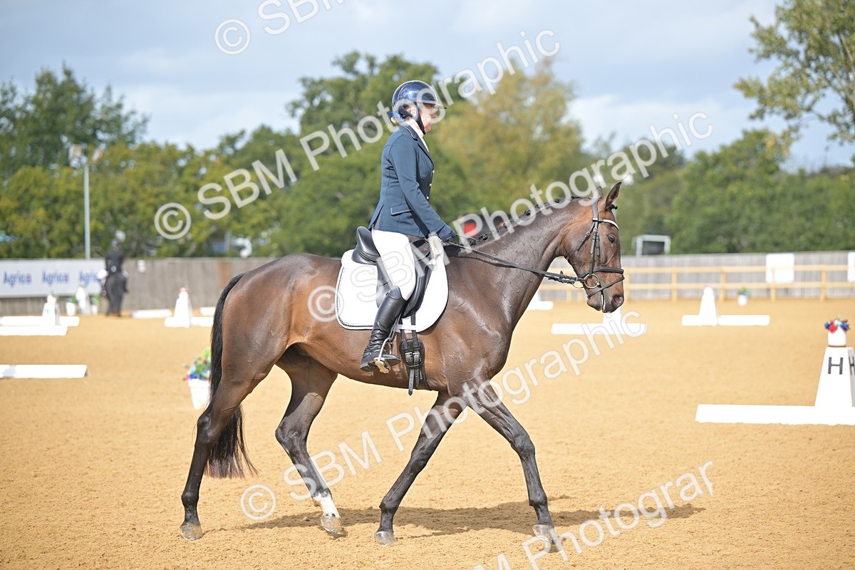 SBM_08298