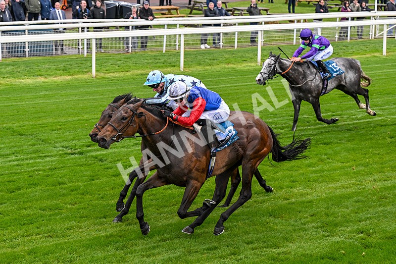 140526-Race 3-Maybe Not-0164 - Race 3 2.55pm Oakmere Homes Hambleton Handicap