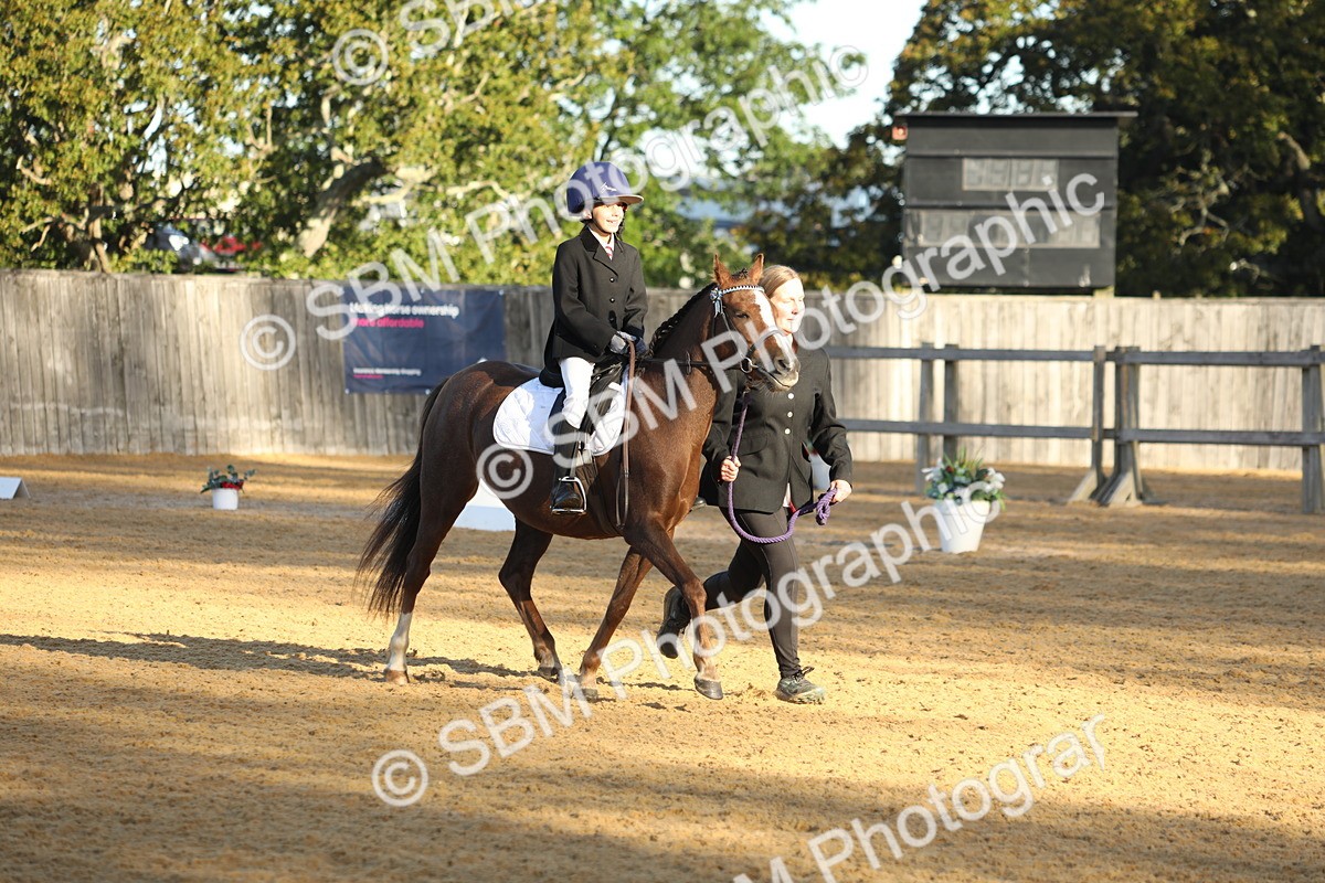 SBM_33636 - D26 - Starers - Lead Rein