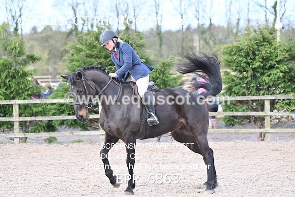 BPP_6863 - RING 1  (RIDDEN HORSES / IN HAND / VETERAN ETC)