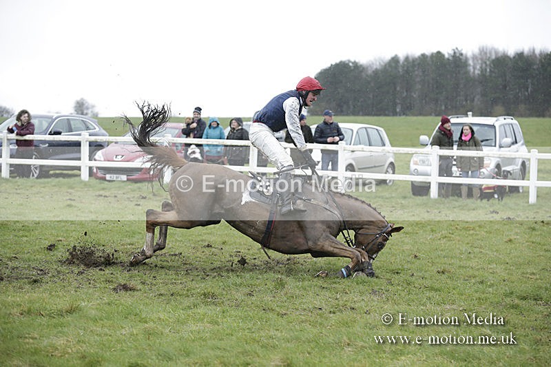 PtP 150320 0353 - New Forest Point-to-Point Larkhill 15/03/20