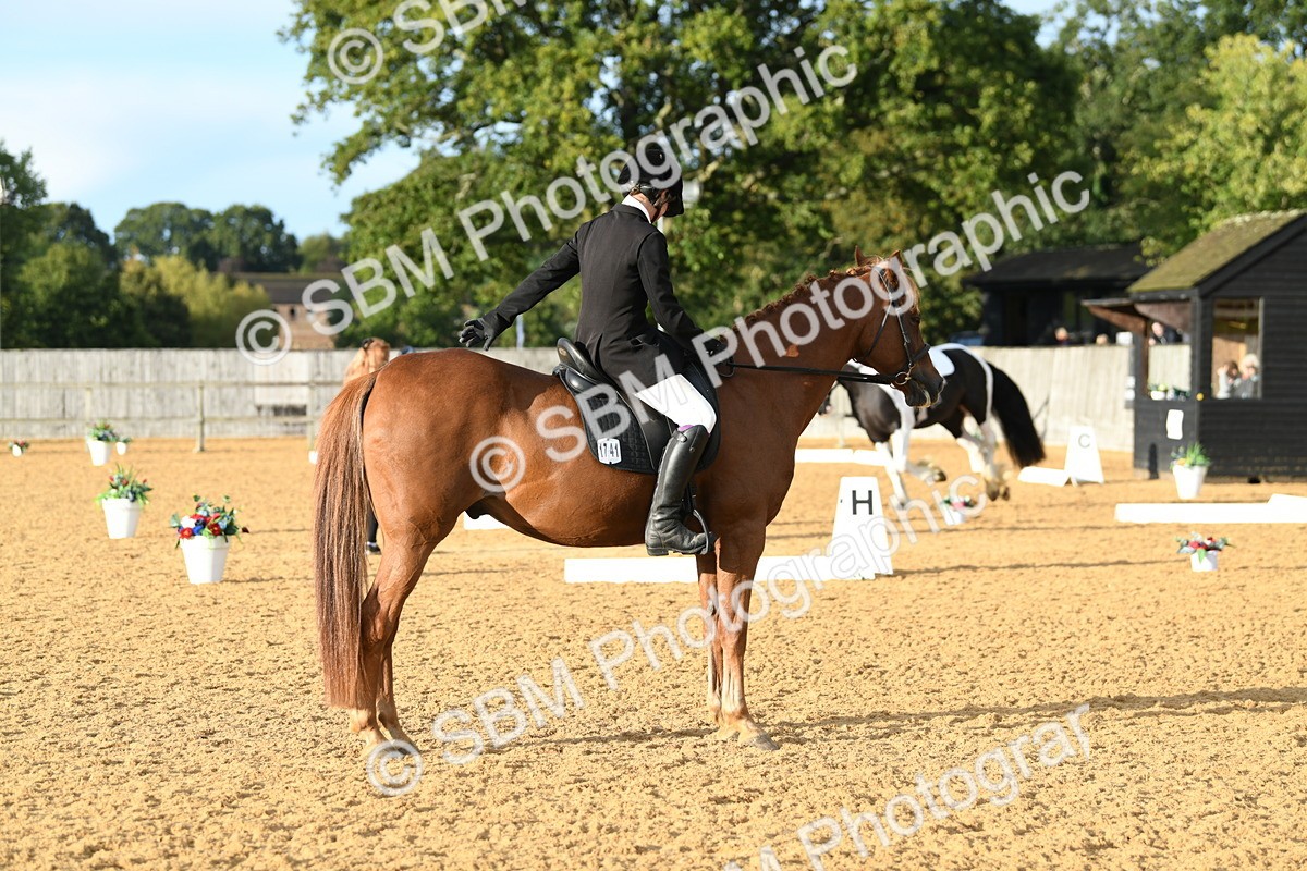 SBM_12600 - D19 Small Tour Championship Elementary 42