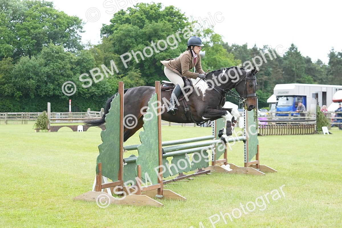 SBM_12563 - Class 97-98 - LIHS BSHA Rising Star Working Show Horse Hunter