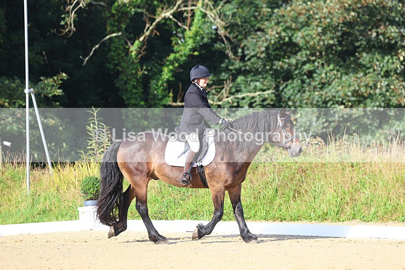 3E7A1848 - Class 1: Intro 4 2024 section A