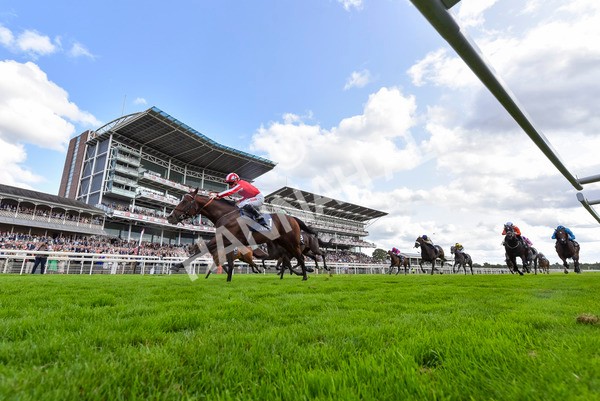 230824-Race 4-Bradsell-4291 - Race 4 3.35pm Coolmore Wootton Bassett Nunthorpe Stakes