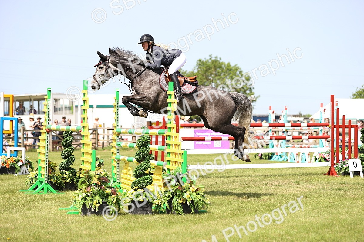 SBM_03226 - Class 201 - British Horse Feedds Speedi Beet HOYS Grade C