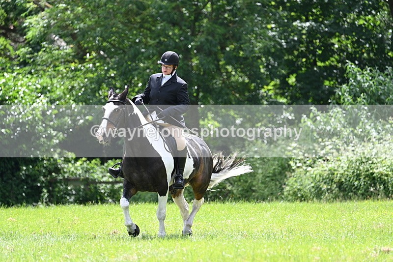 WJ7_2667 - Class 12A Coloured Class