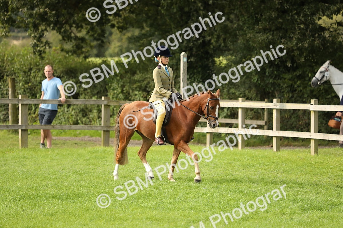 SBM_71477 - S41 - Ridden Equitation (Best Rider)
