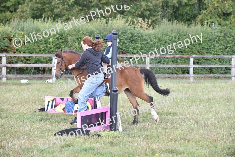 20250831-0494 - Class 7 - Absolute Novice 35cm