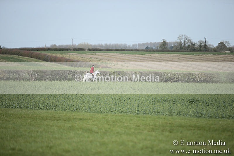 PtP 230319 306 - VWH Hunt Siddington Point-to-Point Racing 23/03/19