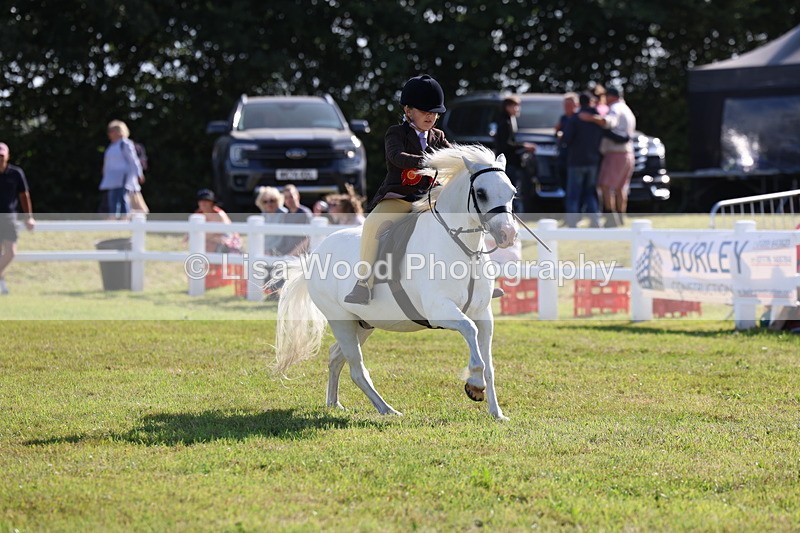 3E7A4127 - Supreme Championship