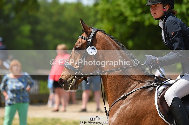 230528-123002-15729 - 373-BENGAL_LORE-Pippa_Taylor-SUNTrotUp+SJ