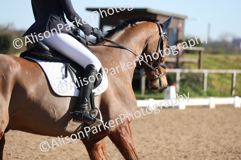 20260318-0831 - Class 8 - Elementary 2