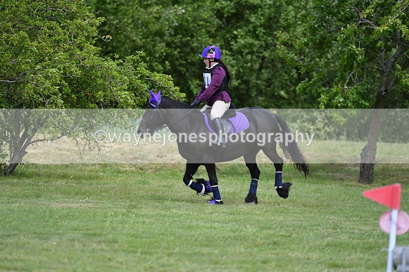 WJ5_3217 - Class 4 60cm