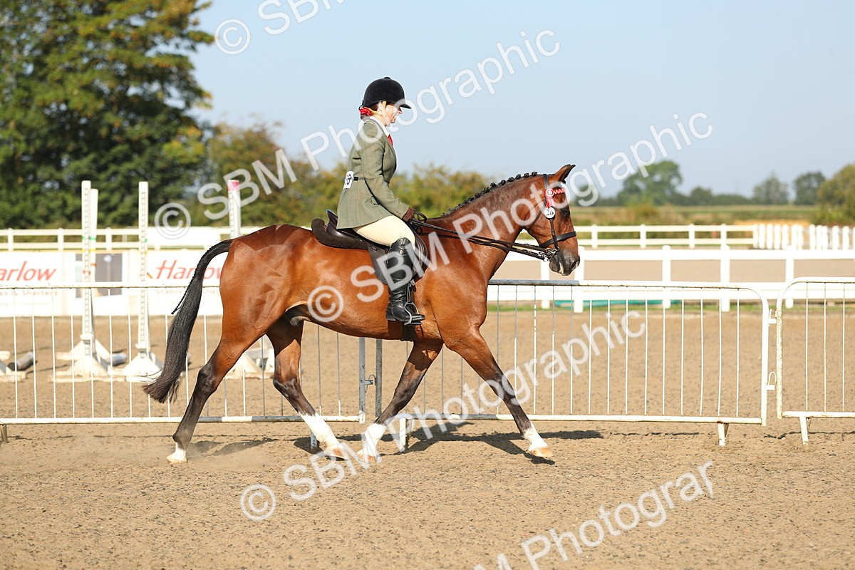 SBM_01119 - Class 42 Ridden Veteran