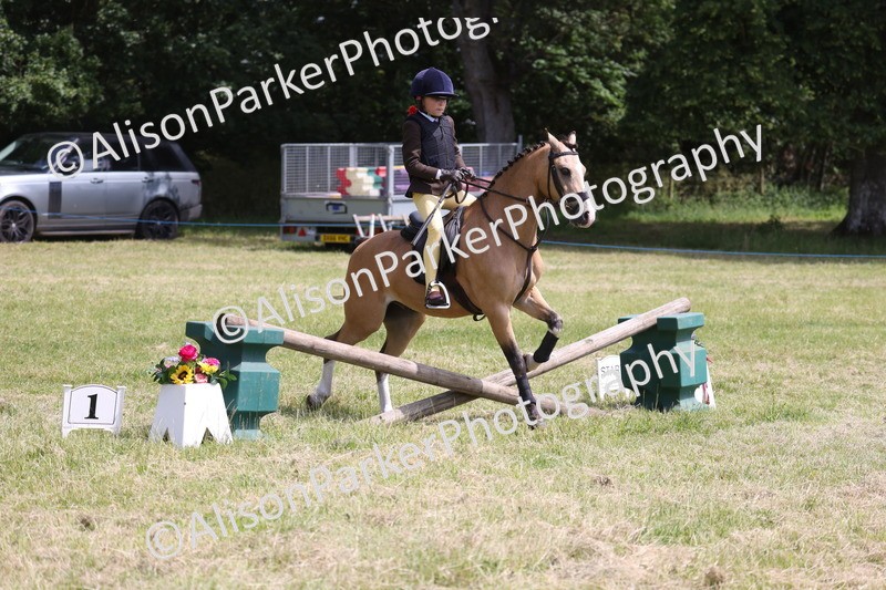 20260614-1886 - Class 21 - Novice Working Hunter Pony