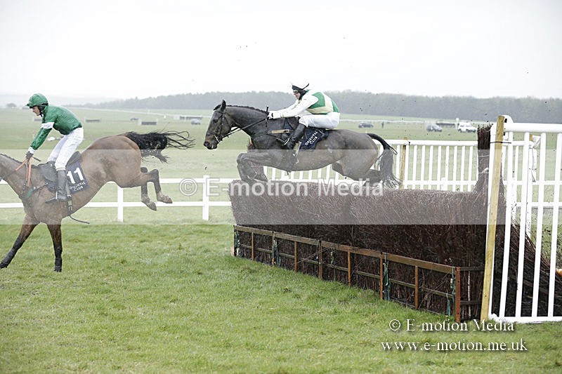 PtP 150320 0153 - New Forest Point-to-Point Larkhill 15/03/20