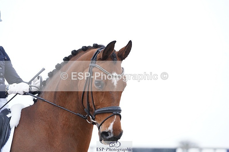 250403-164038-03393 - 005-Sara-Jane.Lanning-Choice