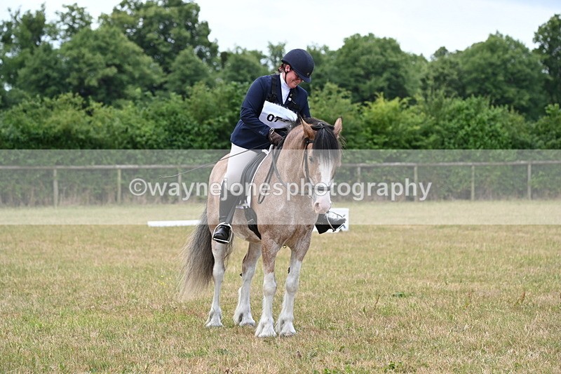 WJ6_3150 - Time 11:07 to 11:34