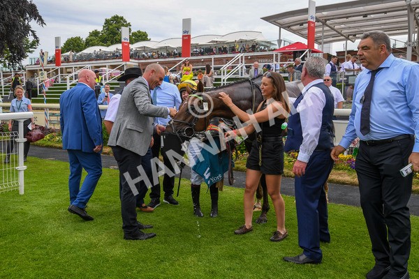 170623-Race 1-Kihavah-0078 - Race 1 2.00pm Queen Mother's Cup Handicap