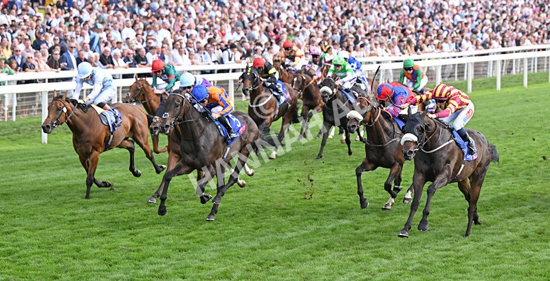 220826-199 Sondad - Race 5 16.10pm Sky Bet Constantine Handicap