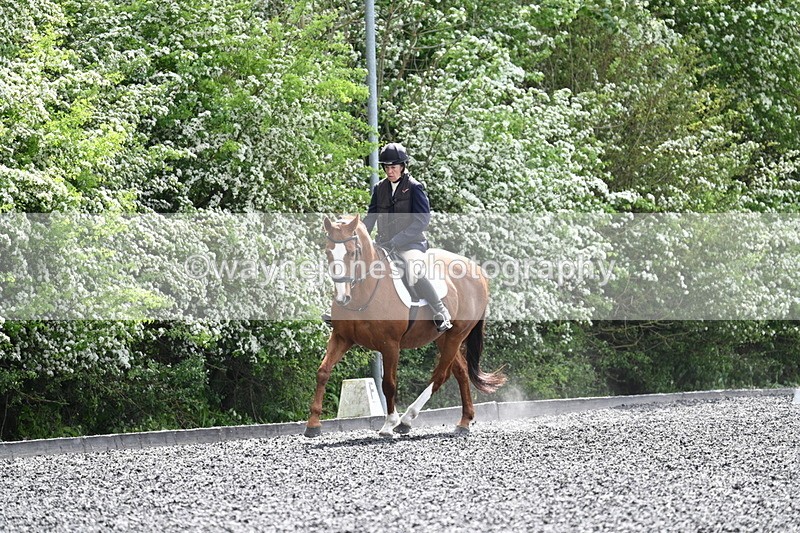 WJ7_0657 - Time 13:29 to 13:59