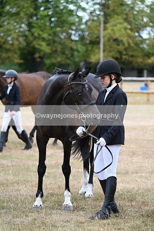 WJ7_9194 - Class 4a Prettiest Mare 14.2hh and over