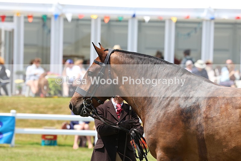 3E7A2220 - Class 10: Open Cob