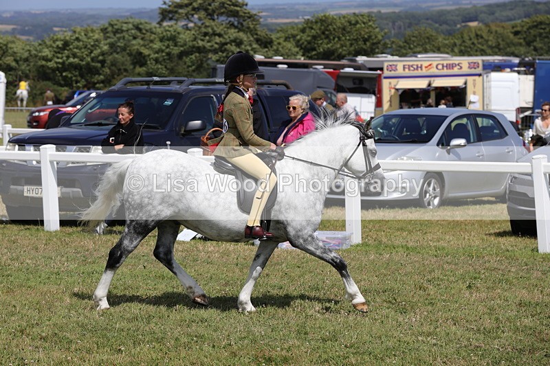1X9A5335 - Class 37: NPS M&M First Ridden