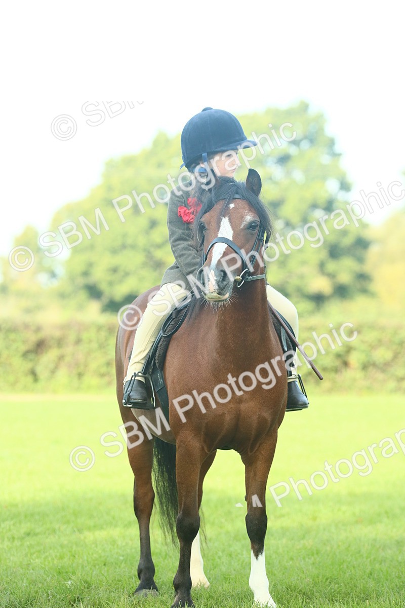 SBM_59858 - S38 - Starters Ridden Showing