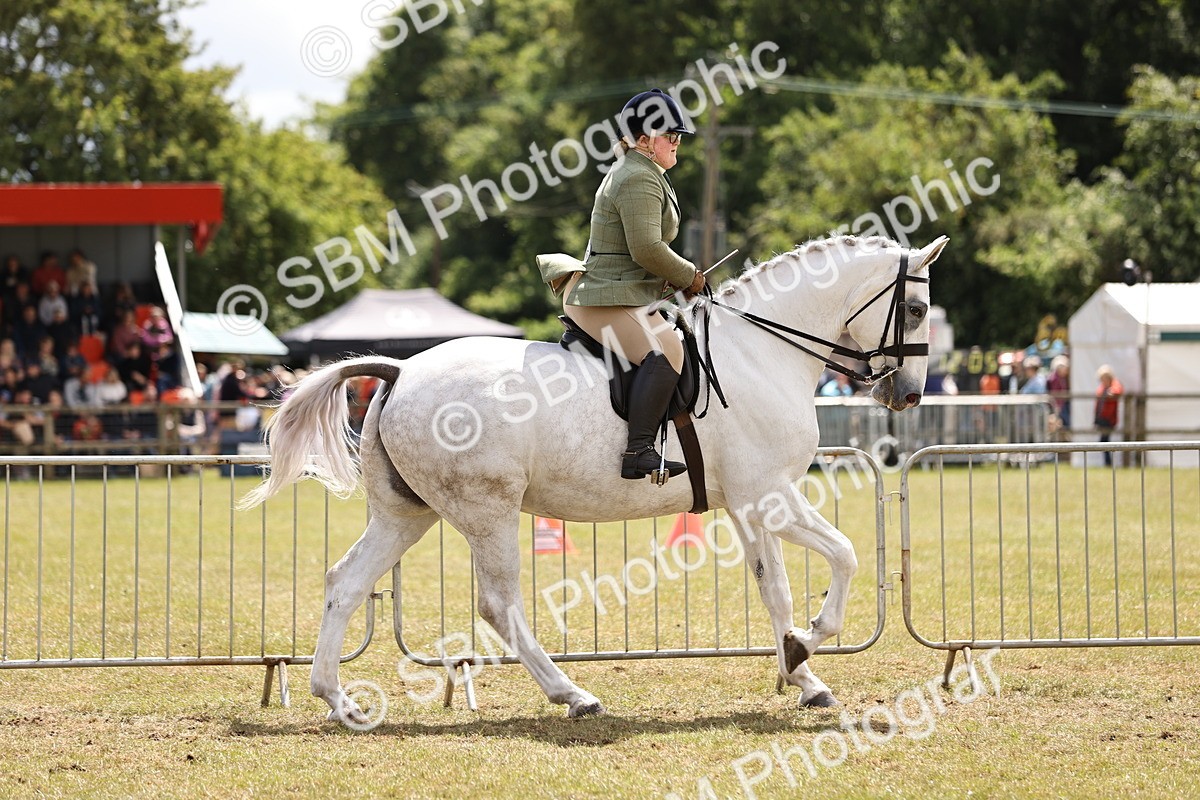 SBM_14785 - Class 88-89 - LIHS BSHA Rising Star of Ridden Hunter Type