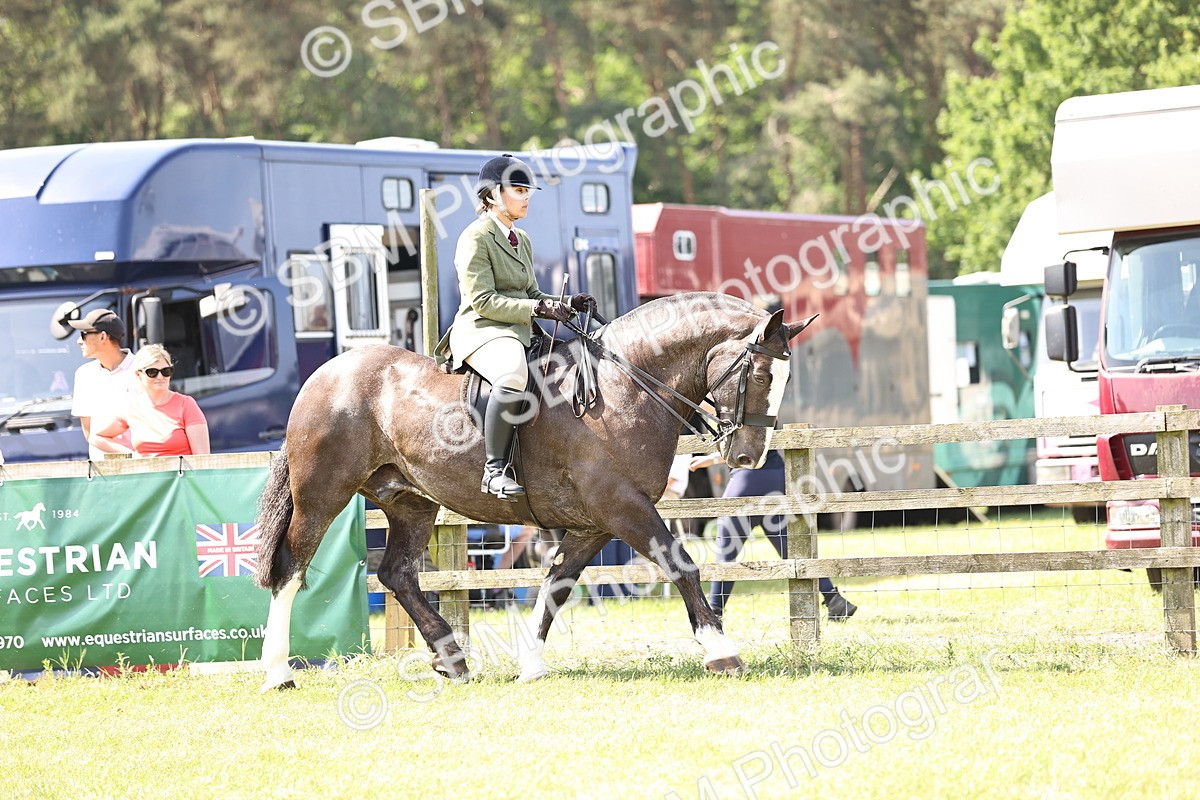 SBM_13694 - Class 77 - LIHS BSHA Rising Star Cobs