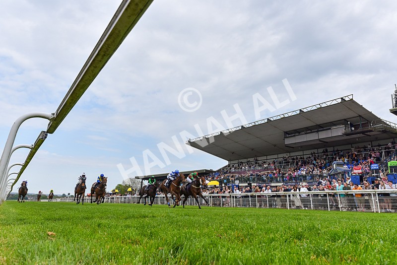 060524-Race 5-Original Thinker-4797 - Race 5