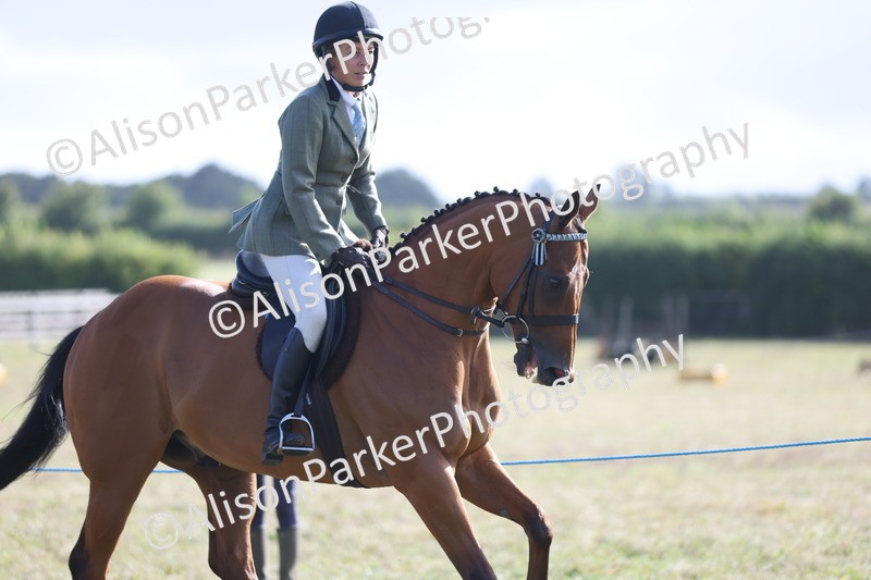 20250831-0825 - Class 14 - Ex Racehorse