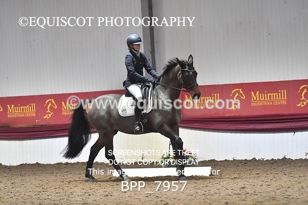 BPP_7957 - ELEM TEST 6