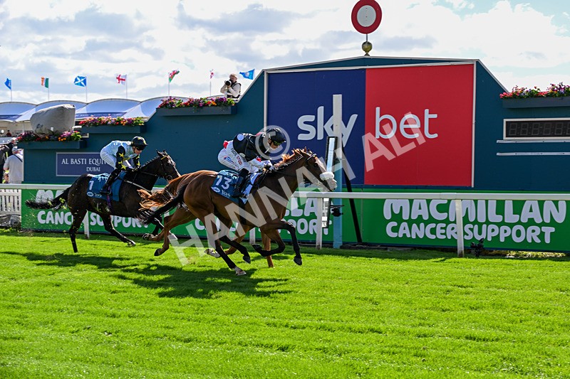 120626-Race 6-Rotokura Belle-8269 - Race 6 16.45pm Dawson Williamson Architects Handicap