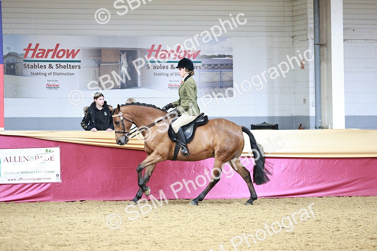 SBM_03559 - Class 6A Area Ridden Pre-Vet