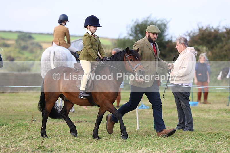 3E7A3547 - Class 2: Lead rein