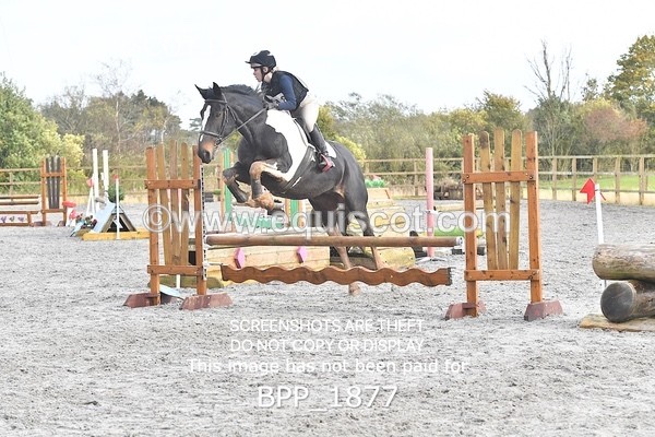 BPP_1877 - CLASS 3 - 80CM