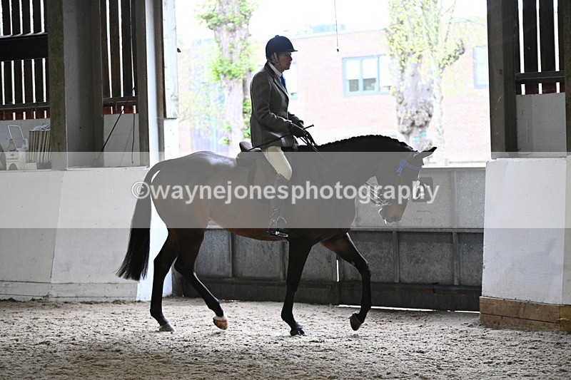 WJ7_3791 - Class 17 Ridden Cob