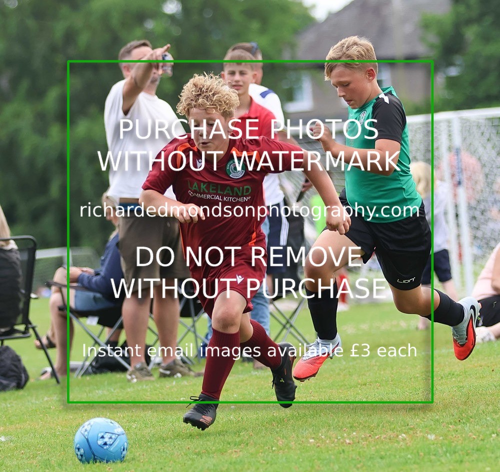 533A6273 - Burton Thistle Ibis Festival afternoon