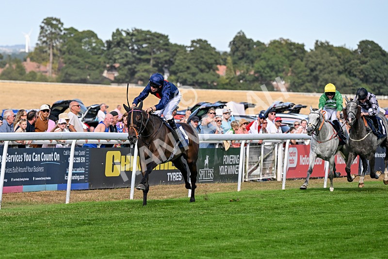 130826-Race 5-Wardlaw-9459 - Race 5 16.15pm Middle Distance Handicap