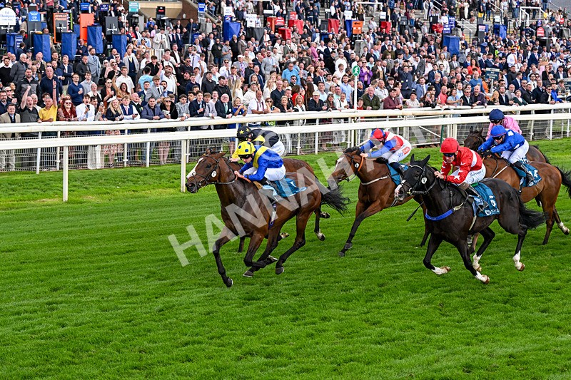 130626-Race 6-Point Of Contact-0641 - Race 6 16.50pm Ice Co Supporting Macmillan Handicap