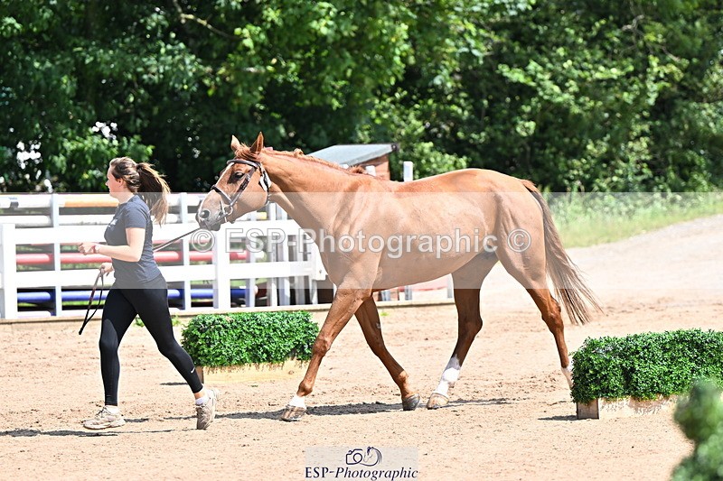 240718A-105245-01123 - Trot Up 12pm to 1pm
