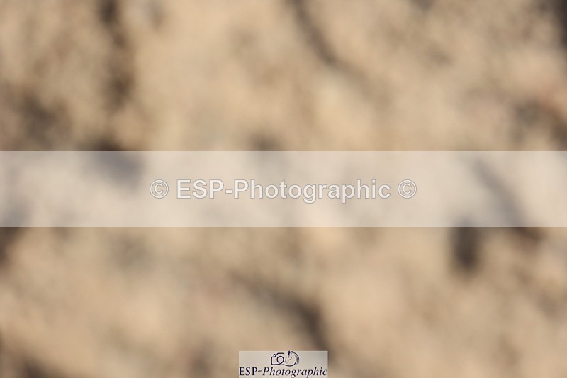 250629-174922-13768 - Cls 30 138cm HOYS Qualifier