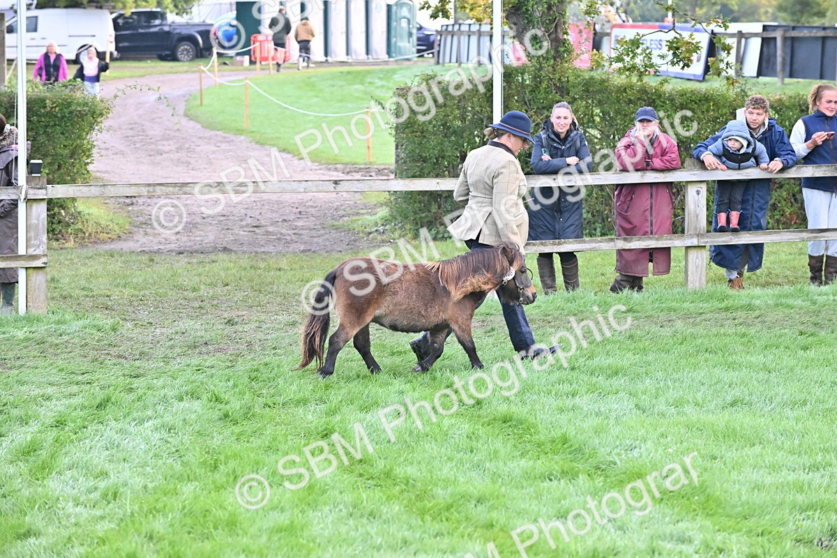SBM_54603 - S44 - Youngstock In Hand