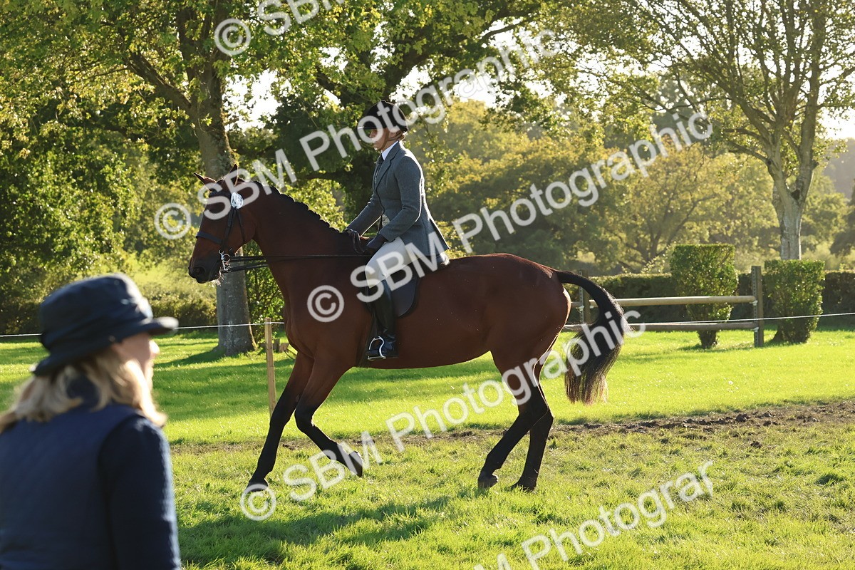 SBM_53013 - S29 - Mature Veteran Ridden